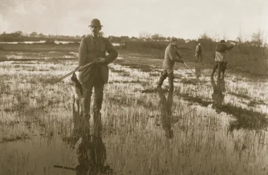 Caccia alla beccaccia, 1886